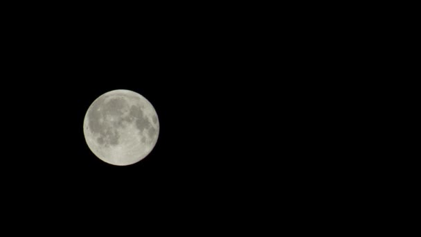 Luna llena claro cielo lapso de tiempo — Vídeos de Stock