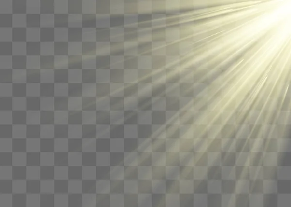 矢量聚光灯 矢量透明太阳光特殊透镜耀斑效应 — 图库矢量图片