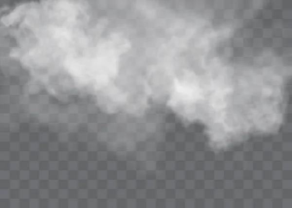 Sis ya da duman izole edilmiş şeffaf özel efekt. Beyaz vektör bulanıklığı, sis veya sis arkaplanı. Vektör illüstrasyonu