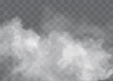 Sis ya da duman izole edilmiş şeffaf özel efekt. Beyaz vektör bulanıklığı, sis veya sis arkaplanı.