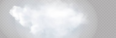 Sis ya da duman izole edilmiş şeffaf özel efekt. Beyaz vektör bulanıklığı, sis veya sis arkaplanı.