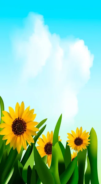 Fondo Primavera Con Flores Girasol Hierba Verde Cielo Azul — Archivo Imágenes Vectoriales