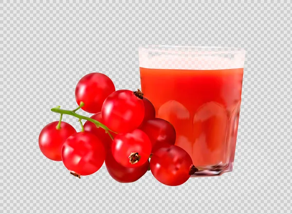 Glass Cranberry Juice Ripe Red Cranberries Cranberry Raspberry Cherry Fresh — Stock Vector