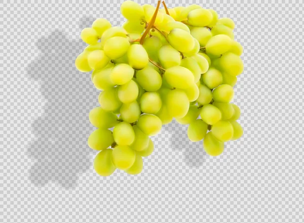 Ripe Grape Isolated White Vector Illustration — Stock Vector