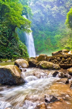 Yoğun yağmur ormanlarında şelale.