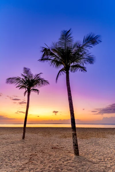 Palm Trees Sunrise Tropical Island Paradise Bali — Stock Photo, Image