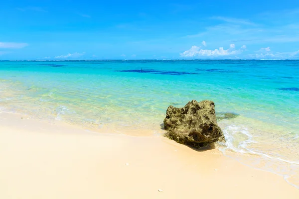 Tropical beach shoreline — Stock Photo, Image