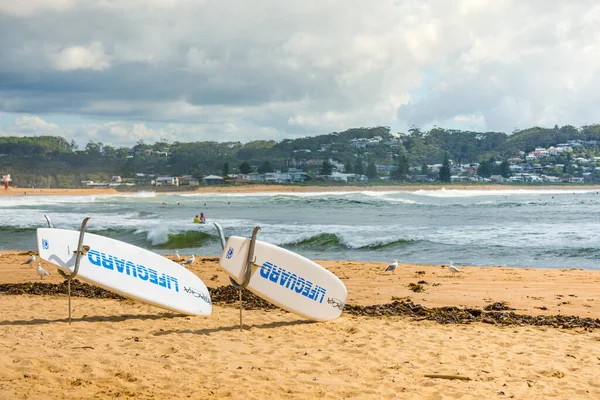 Februar 2020 Avoca Beach Nsw Australia Redningstavler Stranden Med Nordre stockfoto