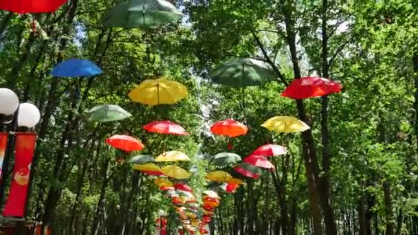 Sonnenschirme im Stadtpark — Stockvideo