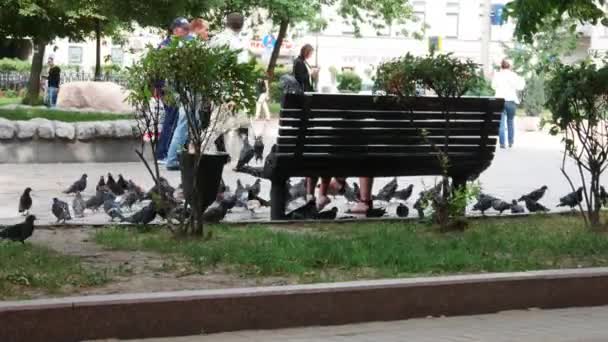 Les gens qui nourrissent les pigeons dans le parc — Video