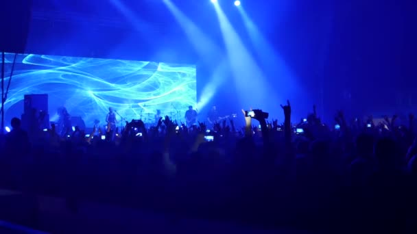 Artists Performing at the Concert Stock Video