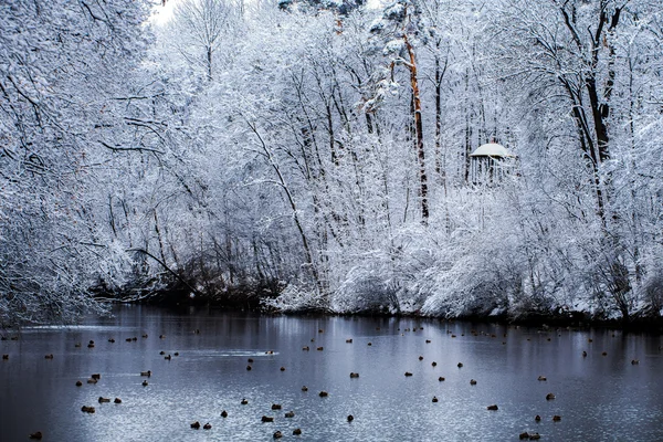 Alexandria Park'taki kış çardak. Bila Tserkva.