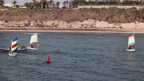 Crianças Nadam Mar Pequenos Barcos Mar Barcos Com Velas Concorrência — Vídeo de Stock