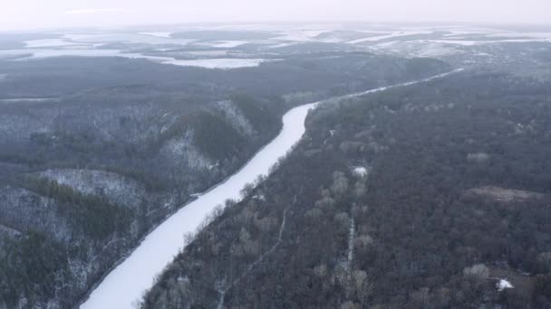 Όμορφη Πτήση Χειμώνα Πάνω Από Χιονισμένα Πεδία Χειμερινό Δάσος Και — Αρχείο Βίντεο