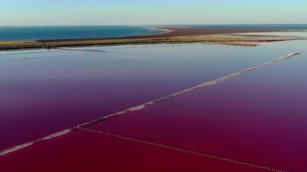 Schöne Aussicht Von Oben Auf Den Salzigen Rosa See Schöner — Stockvideo