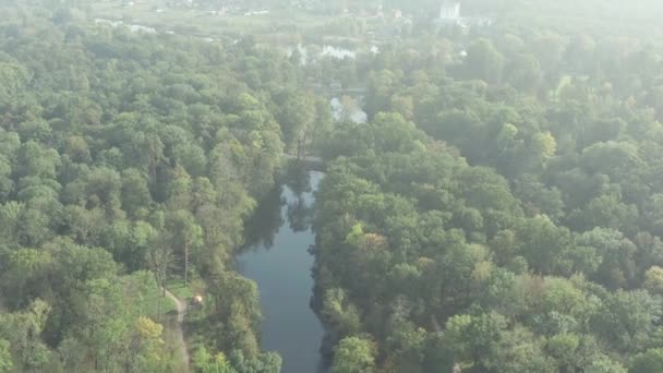 Прекрасний Політ Над Парком Влітку Дерева Зеленим Листям Люди Ходять — стокове відео