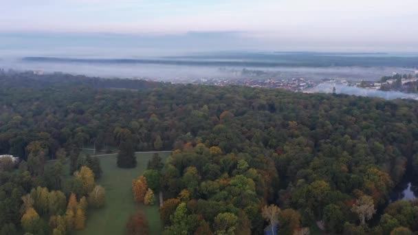 Mooie Vlucht Herfstbomen Park Bladeren Bomen Van Verschillende Kleuren Geel — Stockvideo