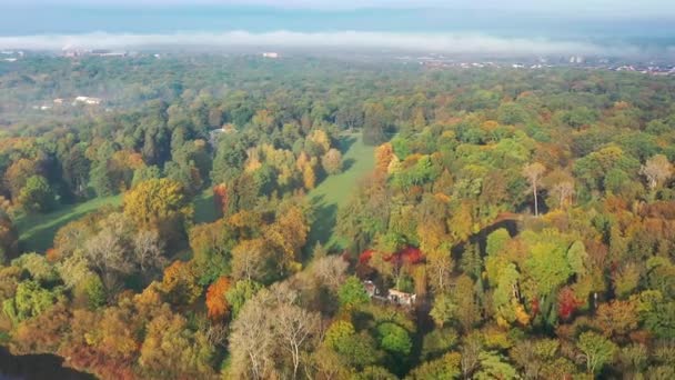 Όμορφη Πτήση Πάνω Από Φθινοπωρινά Δέντρα Πάρκο Αφήνει Δέντρα Διαφορετικού — Αρχείο Βίντεο