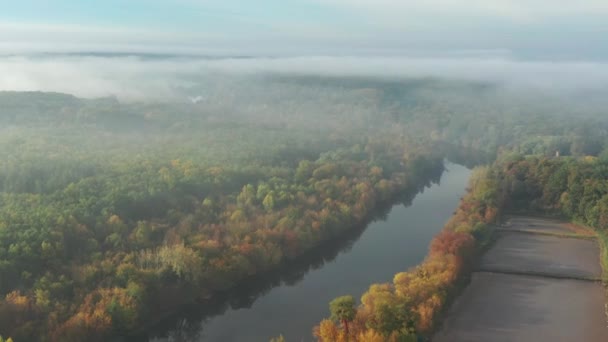 Vacker Morgon Sommarflygning Över Floden Dimma Träd — Stockvideo