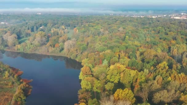 Bella Mattina Volo Estivo Sul Fiume Nebbia Alberi — Video Stock