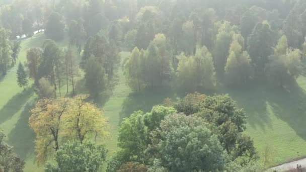 Belo Voo Sobre Parque Verão Árvores Com Folhas Verdes Pessoas — Vídeo de Stock
