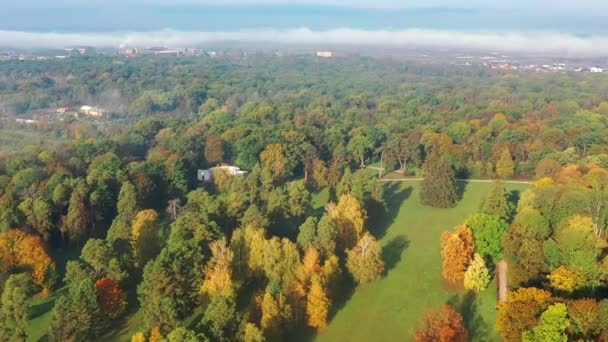 Belo Voo Sobre Parque Outono Árvores Com Folhas Verdes Amarelas — Vídeo de Stock