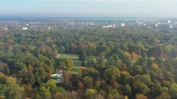 Bellissimo Volo Sul Parco Autunno Alberi Con Foglie Verdi Gialle — Video Stock