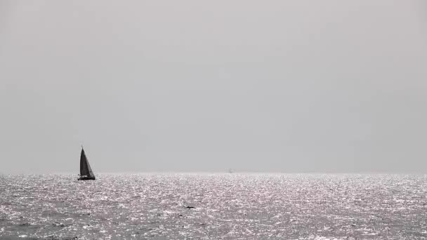 Спортивна Яхта Вітряк Пливуть Середземним Морем Протягом Дня Сонячні Промені — стокове відео