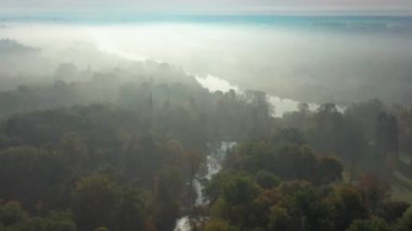 Yazın parkın üzerinde güzel bir uçuş. Yeşil yapraklı ağaçlar. Güneşli bir hava. Nehir sisli, şafakta.