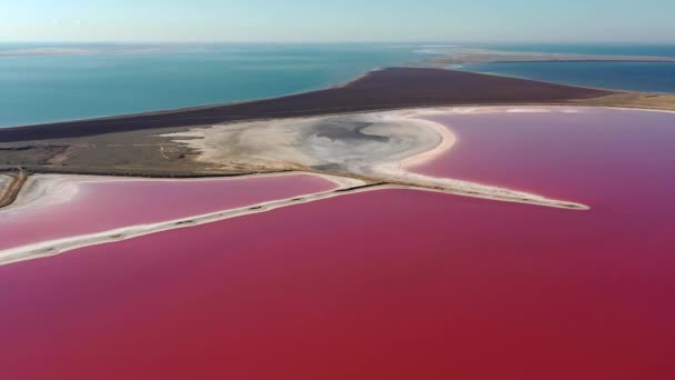 Schöne Aussicht Von Oben Auf Den Salzigen Rosa See Schöner — Stockvideo