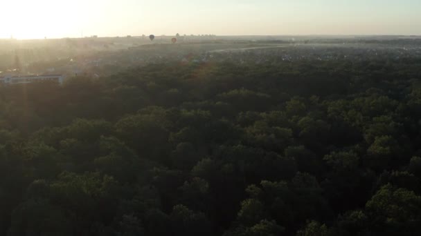 Schöner Morgenflug Über Den Wald Morgendämmerung Über Der Stadt Die — Stockvideo