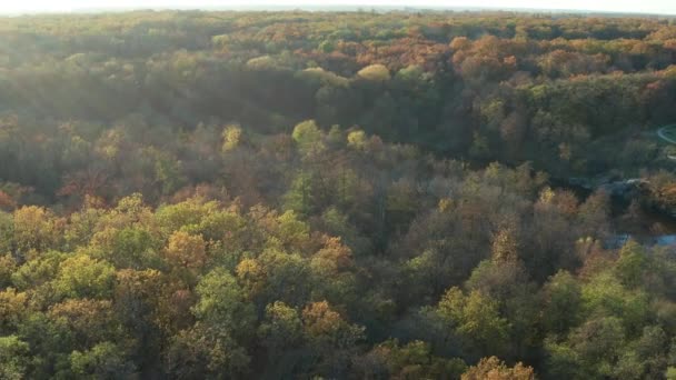 Ağaçların Üzerinde Güzel Bir Uçuş Sonbahar Ormanı Ağaçlarda Sarı Kırmızı — Stok video