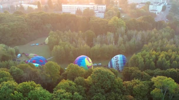 Όμορφη Θέα Των Μπαλονιών Μπαλόνια Πετούν Πάνω Από Πάρκο Στην — Αρχείο Βίντεο