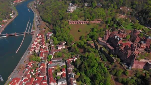 Piękny Widok Góry Zamku Heidelberg Starej Części Miasta Wiosną Zielone — Wideo stockowe