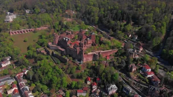 Bela Vista Superior Castelo Heidelberg Parte Antiga Cidade Primavera Folhas — Vídeo de Stock