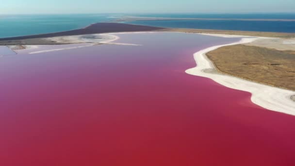 Krásný Horní Pohled Slané Růžové Jezero Krásný Růžový Východ Slunce — Stock video