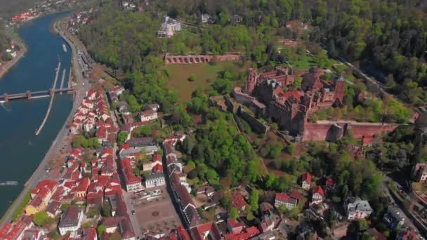 Piękny Widok Góry Zamku Heidelberg Starej Części Miasta Wiosną Zielone — Wideo stockowe