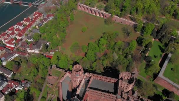 Красивый Вид Гейдельбергский Замок Старую Часть Города Весной Зеленые Листья — стоковое видео