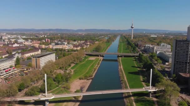 Vedere Sus Digului Râului Neckar Poduri Turn Iarbă Verde Copaci — Videoclip de stoc