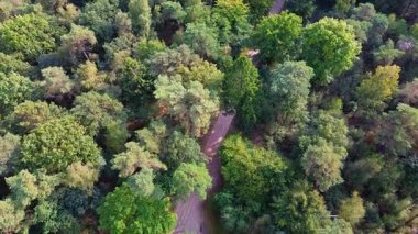Dar toprak yolu ve beyaz araba ile sık yeşil ormanın erimis manzarası insan varlığı doğal tepe örtüsüyle çelişiyor, altyapının ve vahşi doğanın birlikte varlığını vurguluyor..