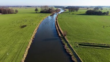 Geniş bir nehrin canlı yeşil alanlarda akan havadan görüntüsü. Büyük bir kuş sürüsü, temiz bir gökyüzünün altında suyla ve çayırlarla uçarak huzurlu bir kırsal Avrupa manzarası yakalıyor..