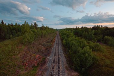 Orman yoluyla demiryolu,