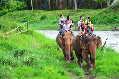 Chiang Mai, Tayland - 13 Kasım, 2015:Elephants ve mahouts filler Mae Wang Nehri boyunca binmek için turist eşlik ederken,.
