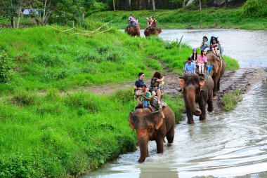 Chiang Mai, Tayland - 13 Kasım, 2015:Elephants ve mahouts, filler Nehri boyunca binmek için ona eskortluk eden turistler ise.