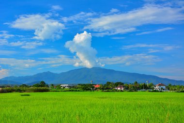 Bulutlar dağ Doi suthep Chiang Mai, volkanın duman benzer tepe üzerinde.