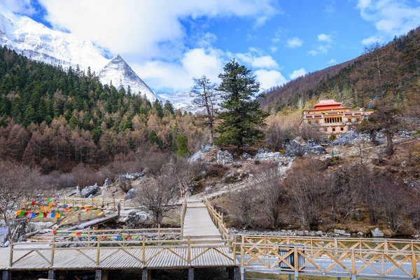Templo tibetano se encuentra en la montaña de la selva tropical . — Foto de Stock