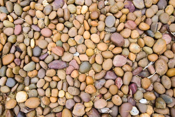 Multi cor pedra seixos fundo — Fotografia de Stock