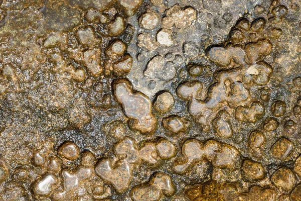 Kő nyomja a víz okozta erózió, korrózió alakú. Szél- és időjárás — Stock Fotó