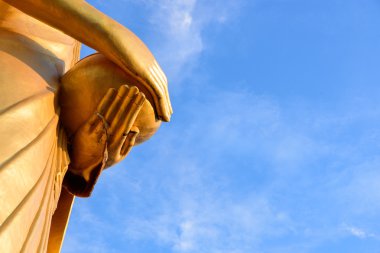 Arılar yuva veya Buda'nın yandan petek 