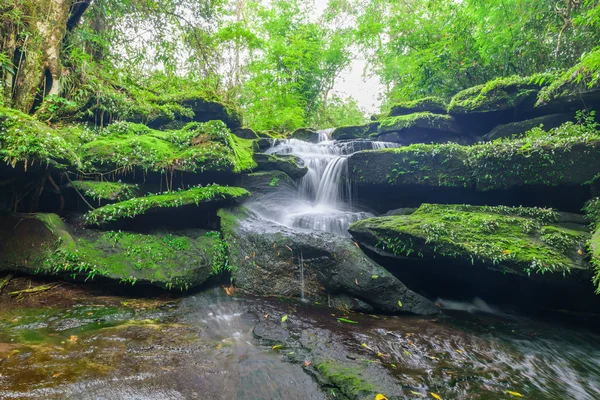 Paesaggio di cascata nella foresta pluviale profonda dell'altopiano di Bolaven, C — Foto Stock